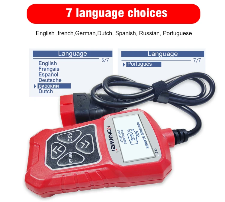 MS309 (5).jpg