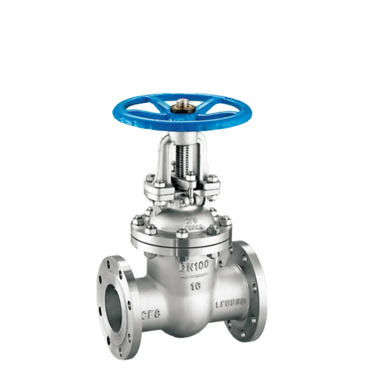 DN65 Manual Type Stainless Steel 304 316L High-Temperature Marine Flange Gate Valve
