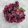 BH002-17