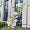 Campanula rosa
