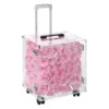 109 rose rosa colorate 40*27*40