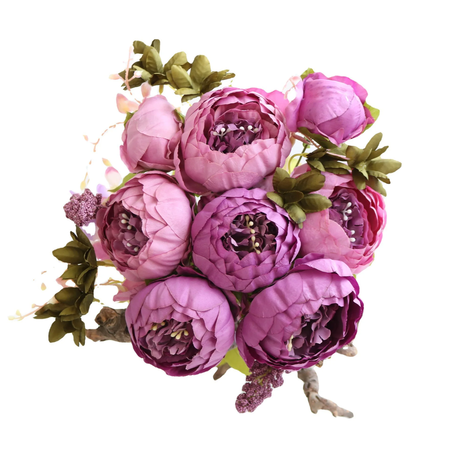 ✳︎peony✳︎ Paeonia-Peony Sunny Boy | R2 Peony - offer