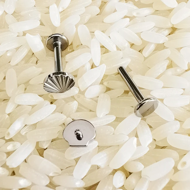 Формы половых губ у девушек ракушка