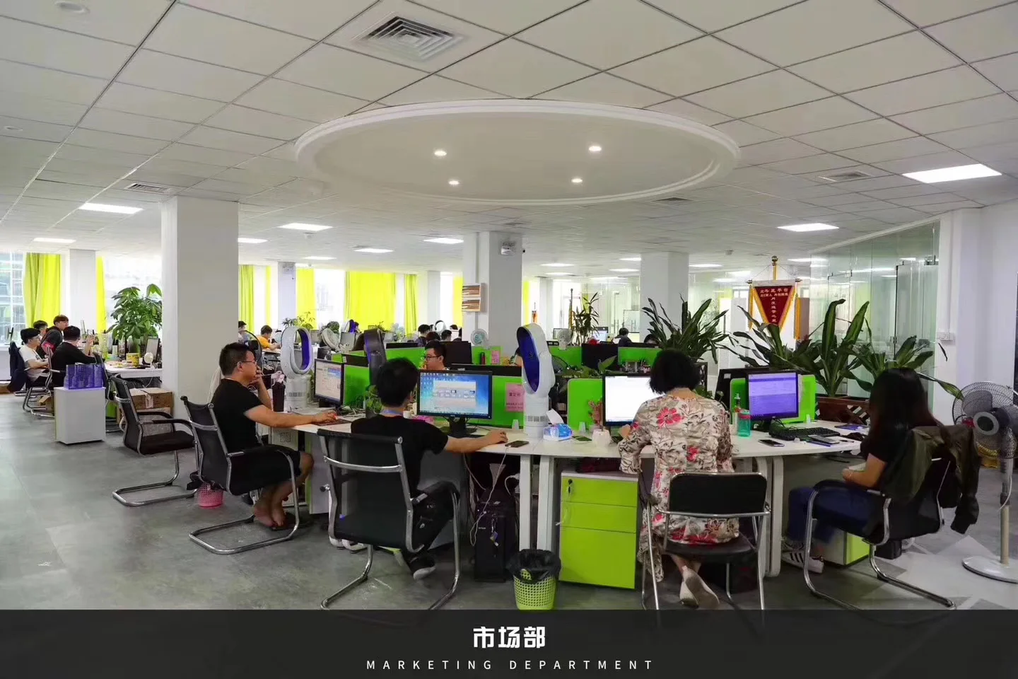 Dongguan Ximaisi Electric Appliance Co., Ltd. 1