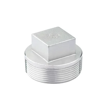 Pipe Fitting SS201 BSPT NPT Thread Screw Plug Stainless Steel SS201 DN8-DN100 1/4-4  Silver OEM Square Female Fitting Wenzhou