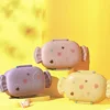 Candy Lunch Box