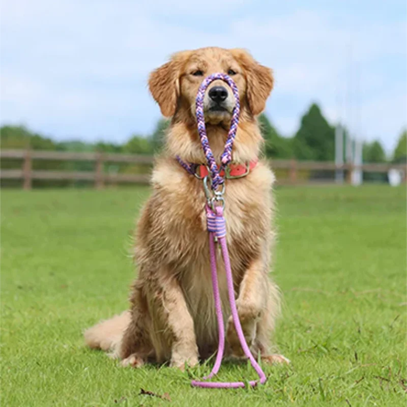 Custom Color Logo Pet Accessories Manufacture Personalized Adjustable Macrame Hand Woven Paracord Pet Dog Collar and Leash Set