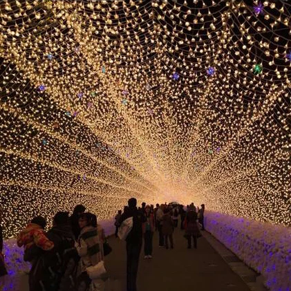 Government Festivals Led Light Decoration Outdoors Led 3D Arch Tunnel Street Lights