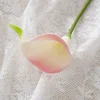 สี1