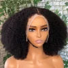 Afro Kinky Curly