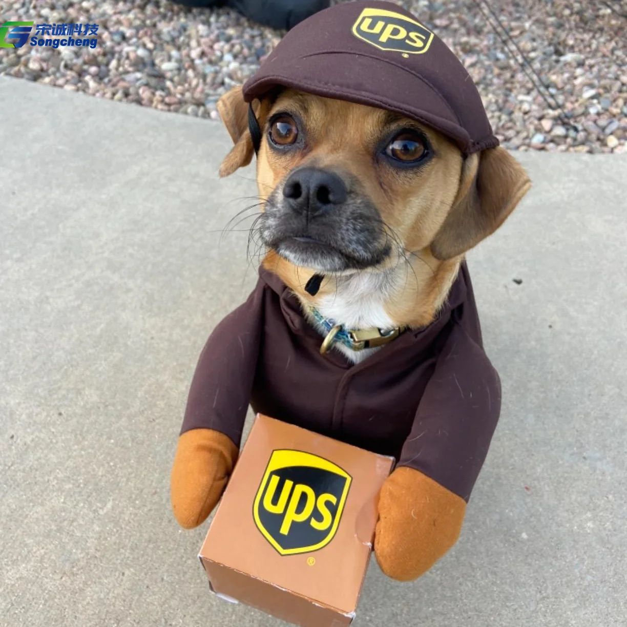 Halloween Dog Clothes 2022 2022 Newly Funny Dog Mail Carrirer Costume Dog Halloween Postman Cosplay Clothes Buy Dog Cosplay Clothes Dog Christmas Party Apparel Clothes Pet Kitten Halloween Acting Props Clothes Product On Alibaba Com