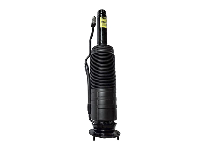 Shock Absorber Front Left and Right for Mercedes S-Klasse W220