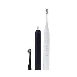 Cheap Wholesale Royal IPX7 Waterproof Battery Powered Soft Electric Vibrosonic Toothbrush for Adults Eco-Friendly ISO Certified