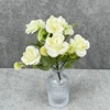 Blanco Cremoso