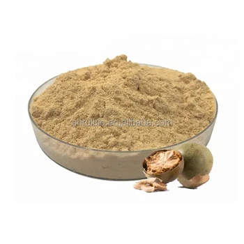 Monk Fruit Sweetener Halal Low Price LUO HAN GUO Monk Fruit Extract Powder 10:1 with Monk Fruit Sugar