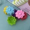 สีสุ่ม-5ซม. ดอกคอสมอส