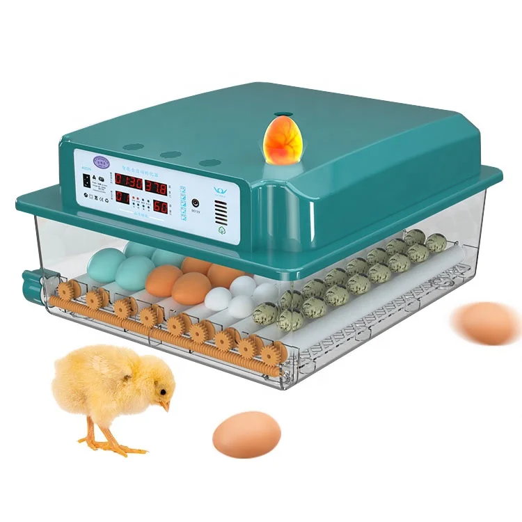 New Upgrade Dc Ac Power Mini Incubator 6 9 12 16 Eggs Incubator Kit for Sale in Uk