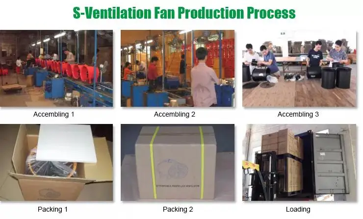 Flow Duct Fans, DFV, 14", 5M, PVC - detail 26