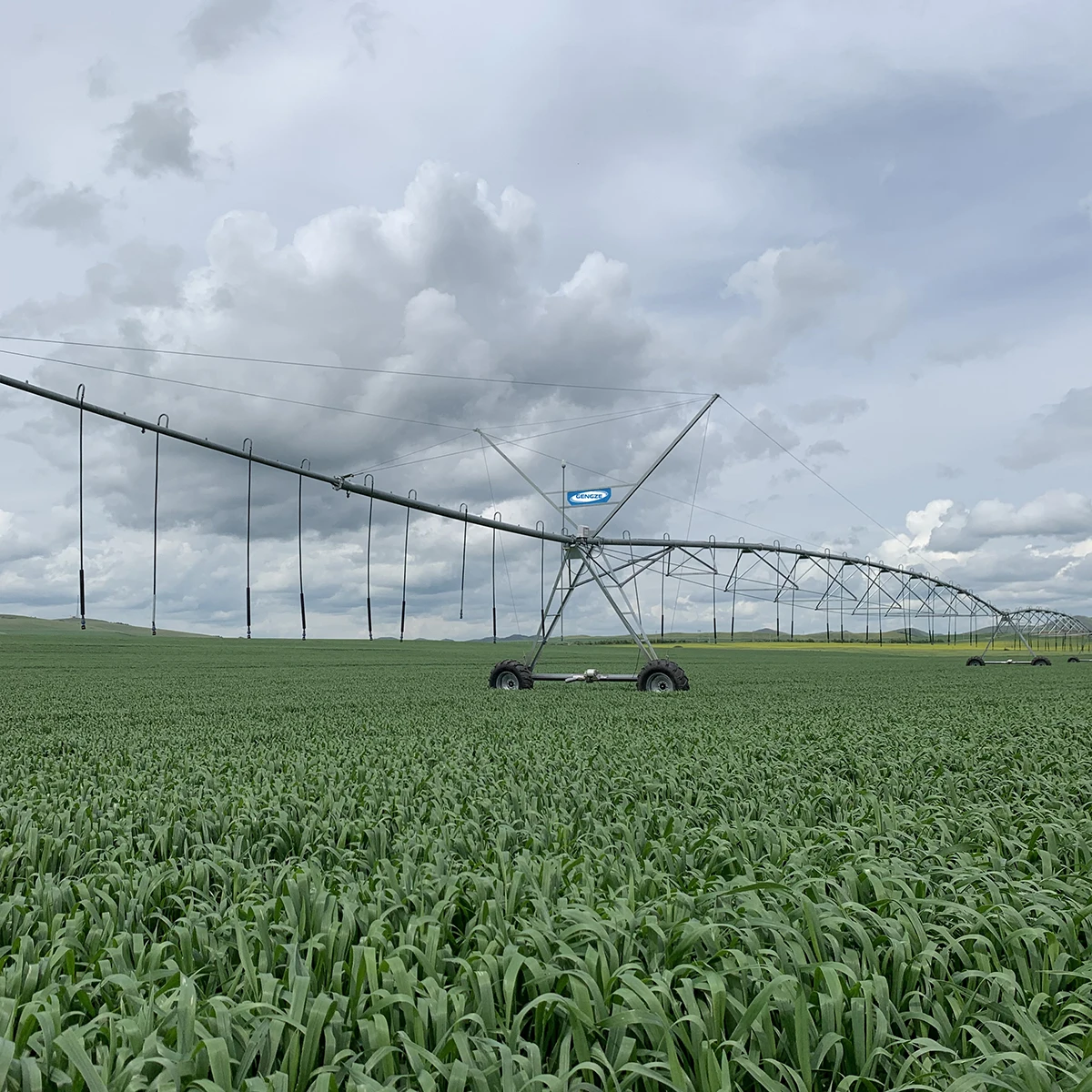 High Efficiency Farm Rotating Center Pivot Irrigation Overhead Pivoting Irrigator for Russian
