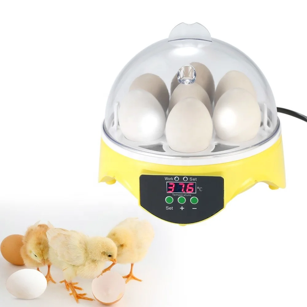 Inkubator Dan Penetas Ayam Buy Penetas Telur Untuk Dijual Telur Burung Unta Incubator Membuat Ayam Penetas Telur Product On Alibaba Com