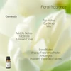 Gardenia