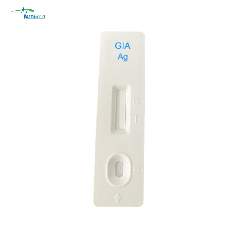 Sale Of Giardia Antigen In Canine Or Feline Stool Feces Giardia (gia