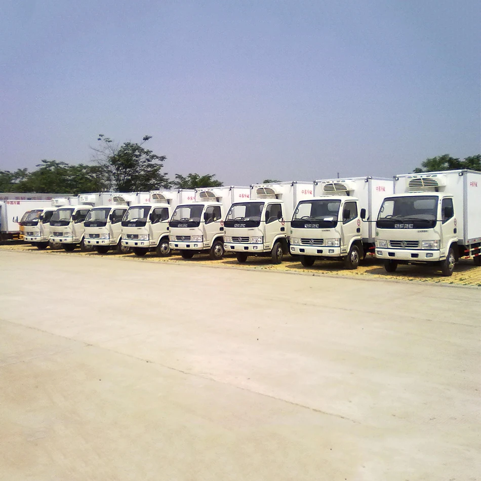 6 Meters Used Truck Refrigerators Howo Refrigerator Truck Trade Refrigerated Truck Meat Rail with Nice Price