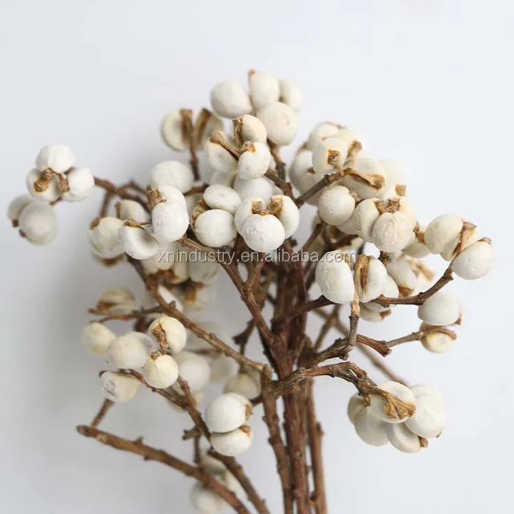  Tallow Berries Dried, Natural Stem Wedding Floral