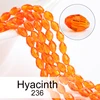 Hyacinth 236