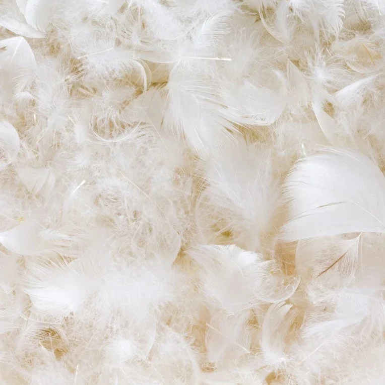 Custom RDS Certified Duck Down and Feather Filling  30% Down 70% Feather Washed Filling for Hotel Quality Comforters