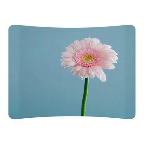 Простая и быстрая сборка, сверхпрочная портативная устойчивая алюминиевая рамка, тканевая стойка для фона для свадебного торжества