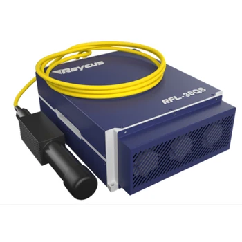 Raycus Q-Switch Pulsed Laser Generator 20W/30W/50W Fiber Laser Source Components for Marker & Engravers