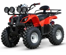 250cc atv 4x2 4x4 Двигатель powfull для дешевой продажи 4-колесный пляжный мотоциклетный