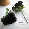 7 teste fiore