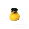 pato pirata