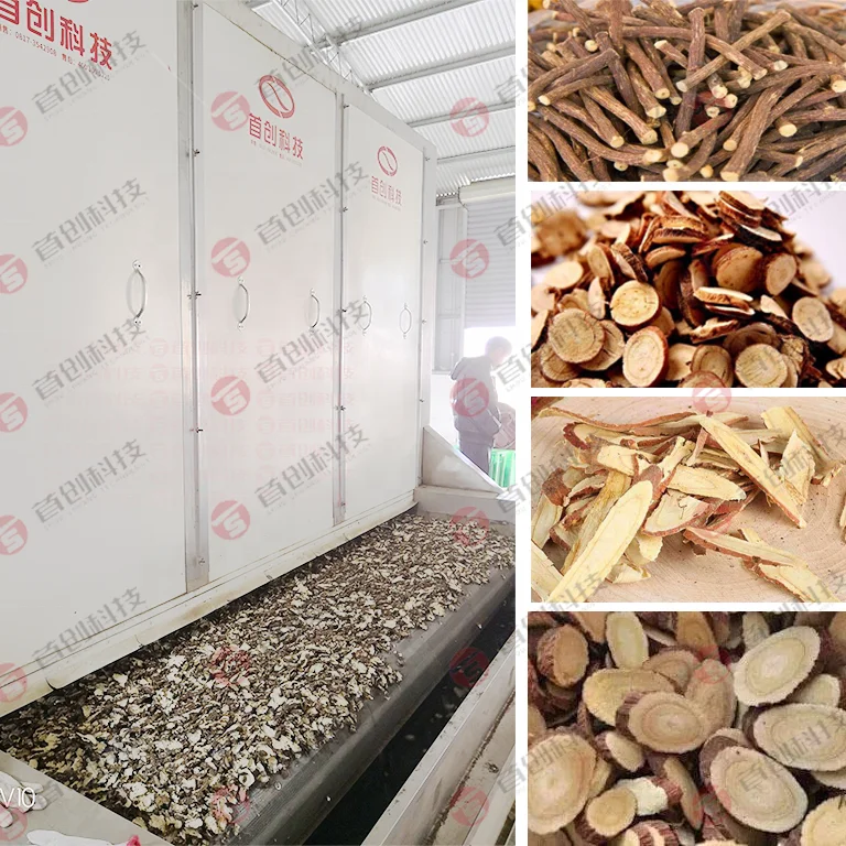 Customized Coffee Beans Drying System Automatic Mesh Belt Type Cocoa Bean Areca Nut Coffee Grounds Drying Dryer Machine Provided