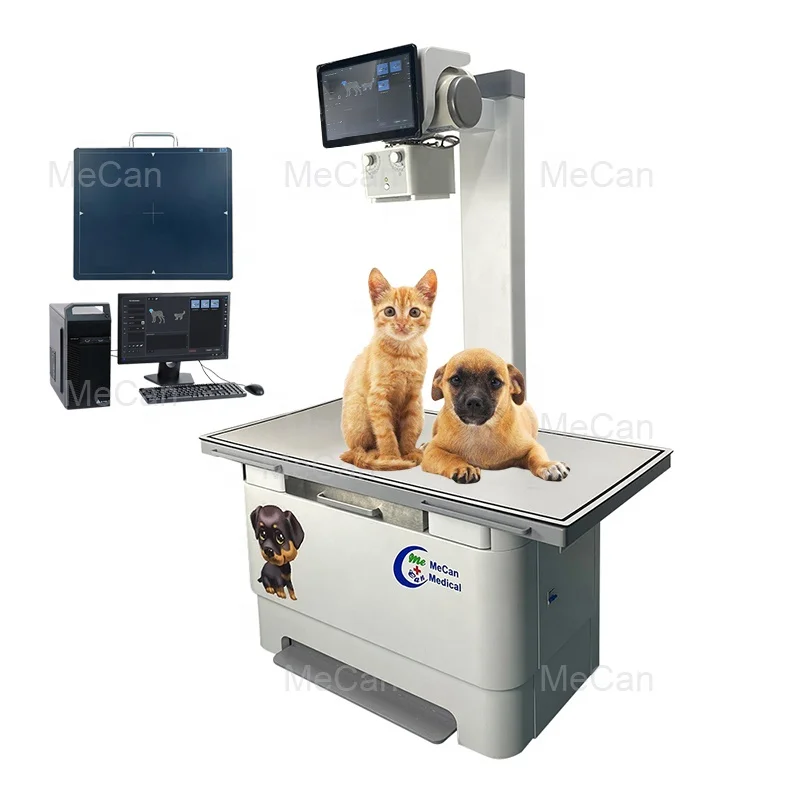 32KW Dog Cat Pet X Ray 200MA Medical Animal X-ray Veterinary Equipment Xray  Vet 20KW Veterinary Digital Xray Machine