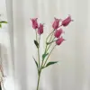 Rose madder