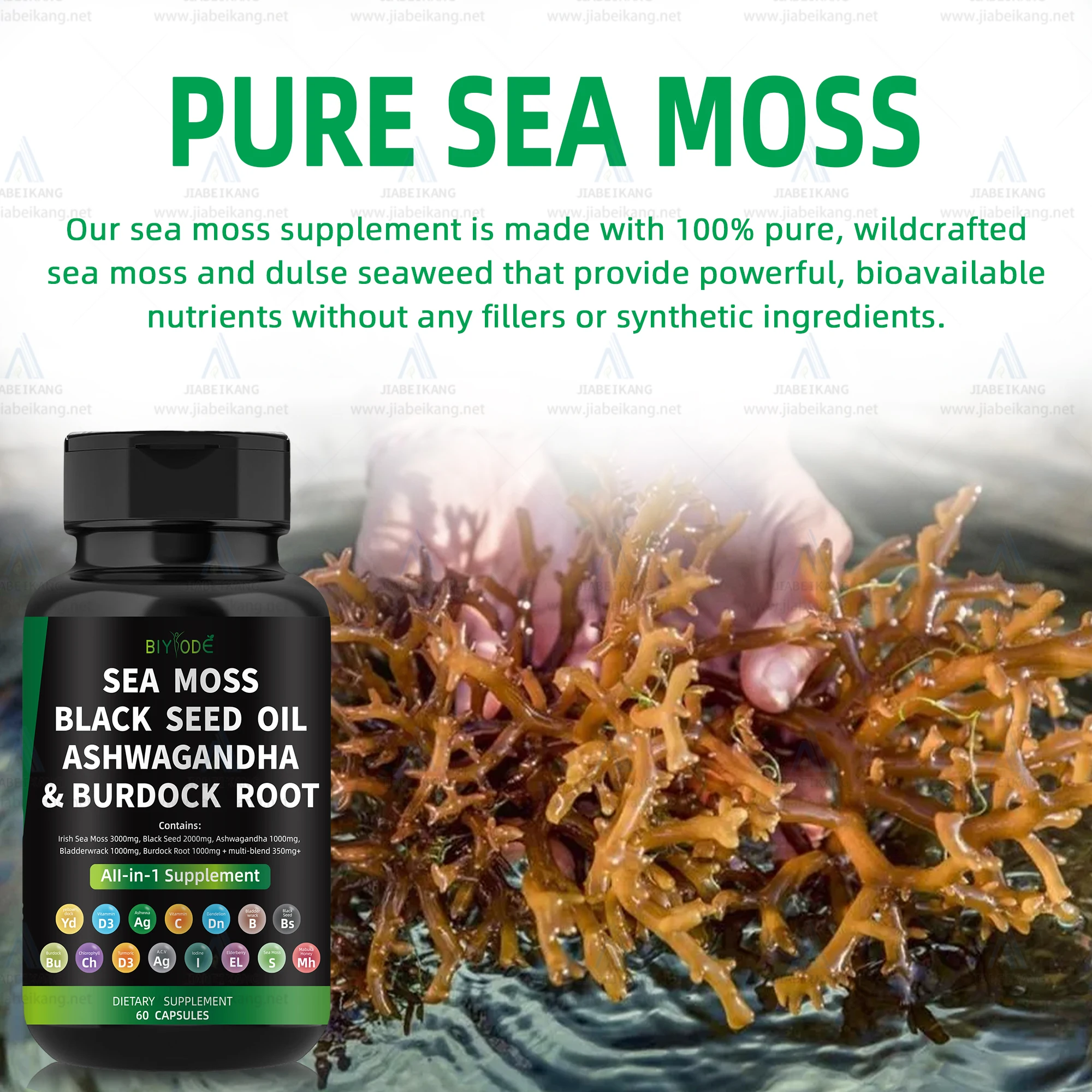 Shocking Truth About Sea Moss, Black Seed Oil & Ashwagandha: Are You Safe? - r6gqx7h