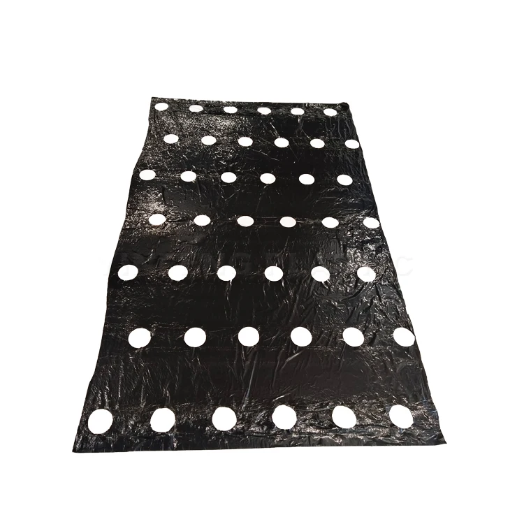 Nursery Growing Mulch Film Roll,Perforated Plastic Mulch Film Layer