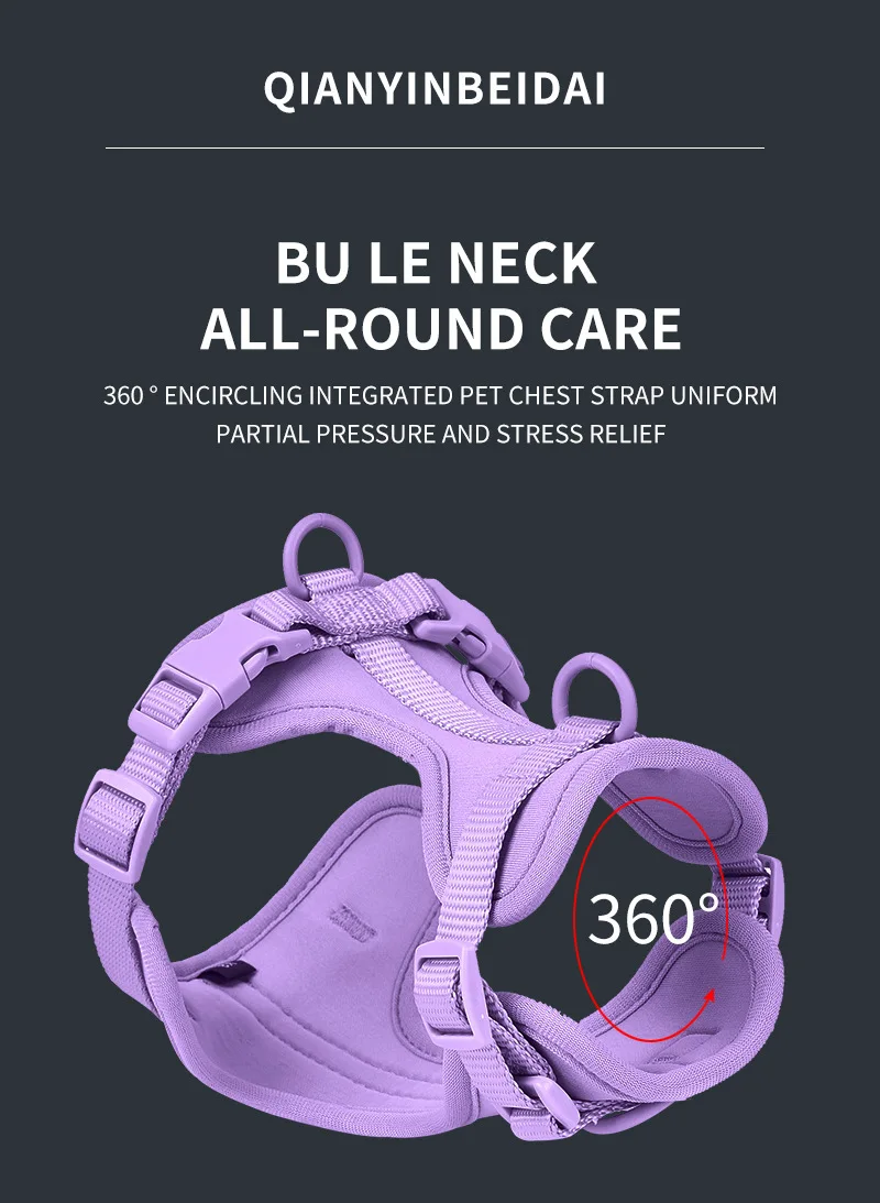 Shop Our in Stock PVC Waterproof Dog Harnesses & Leashes