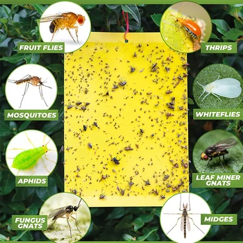 20 Pack Yellow Mosquito Glue Fly Trap Fruit Sticky Traps Bug Farm Insect Wasp Trap Protect for Indoors