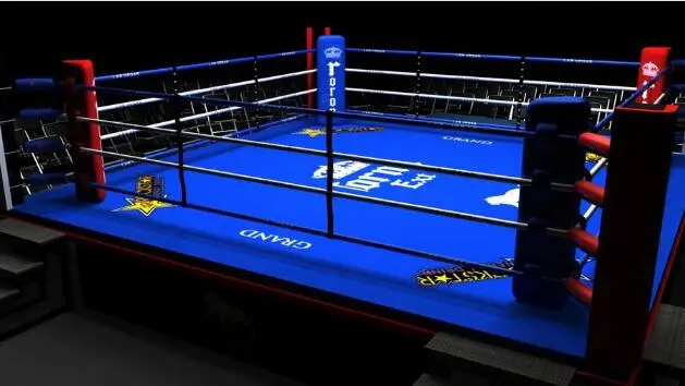 キャンバスカバーufcボクシングリングロープ5m * 5m aibaリング キャンバスカバーufcボクシングリングロープ5m * 5m aibaリング