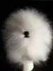 Cheveux de tête de bichon frisé