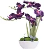 Viola scuro