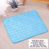 Ice silk mat-blue