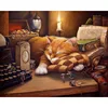 74 sleepy cat