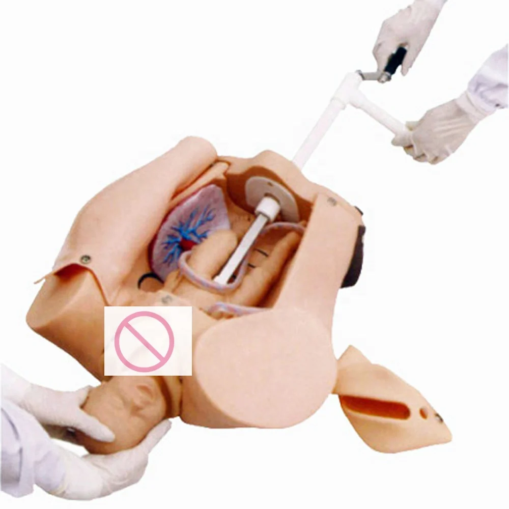 Advanced Birthing Teaching Manikin Manual Delivery Mechanism Demonstration Simulator Pregnant Woman Mannequin