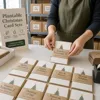 Seed Paper Christmas Cards With Belly Band