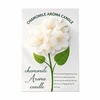 White-Plumeria